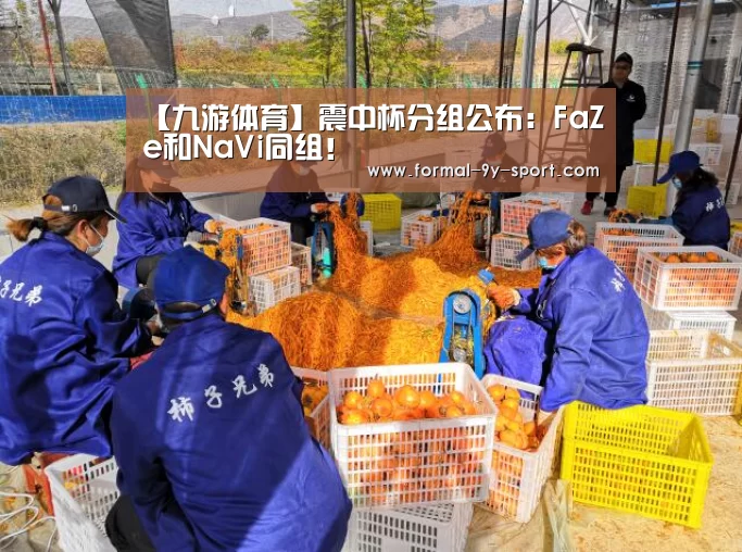 【九游体育】震中杯分组公布:FaZe和NaVi同组!(图1) 九游体育