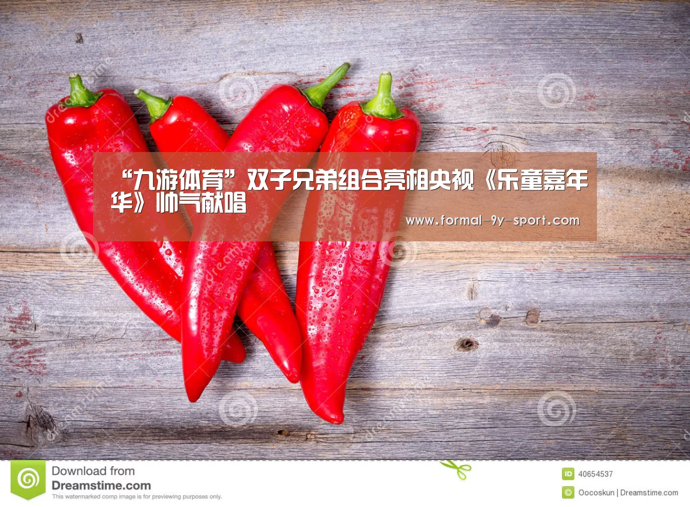 “九游体育”双子兄弟组合亮相央视《乐童嘉年华》帅气献唱(图1) 九游体育